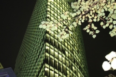 011_Sony-Center